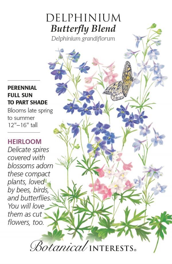 Delphinium Butterfly Blend
